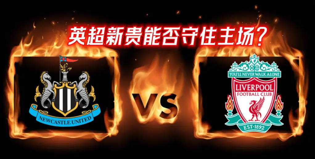 纽卡斯尔联球迷组织慈善活动，回馈社区的简单介绍