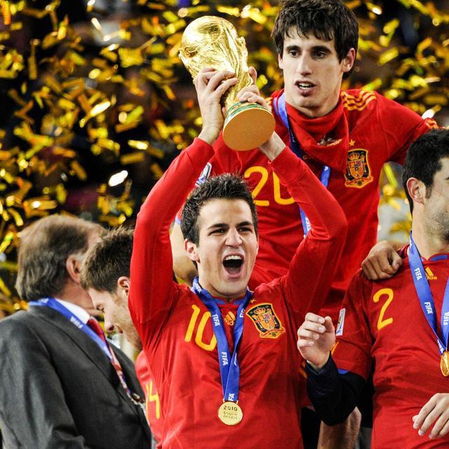 aoa体育教练-意乙老牌队蓝军重建，引进多名实力球员的简单介绍