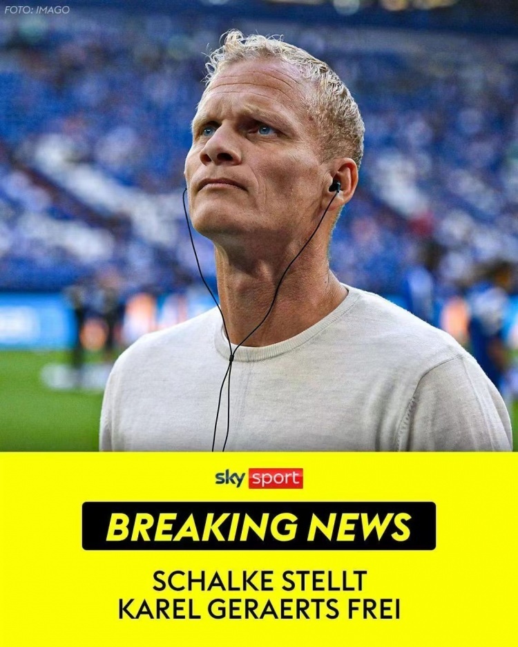 沙尔克主帅遭到批评，球队成绩下滑