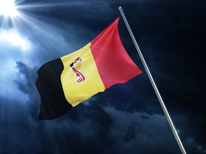 aoa体育-欧洲强队齐聚一堂，角逐酣畅淋漓，欧洲强队国家队